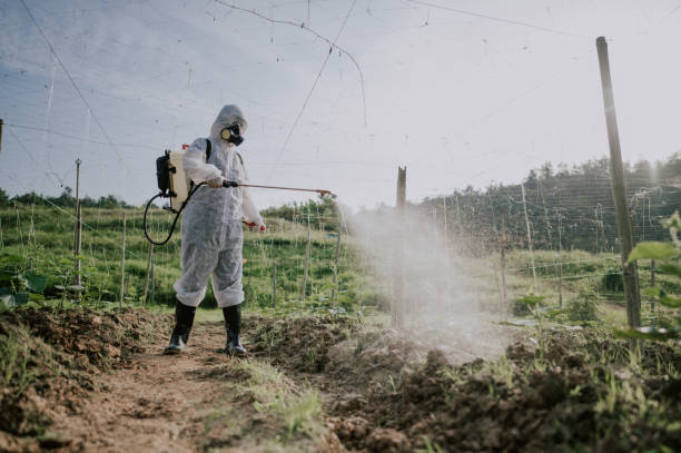 Best Best Pest Control Companies  in Marlboro Village, MD