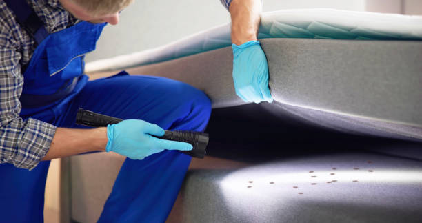 Best Residential Pest Control  in Marlboro Village, MD