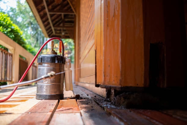 Best Pest Prevention Services  in Marlboro Village, MD