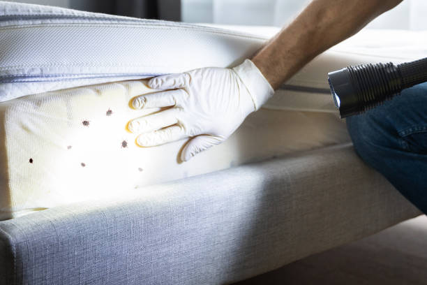 Pest Prevention Services in Marlboro Village, MD