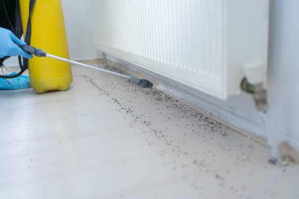 Best Cockroach Control Services  in Marlboro Village, MD